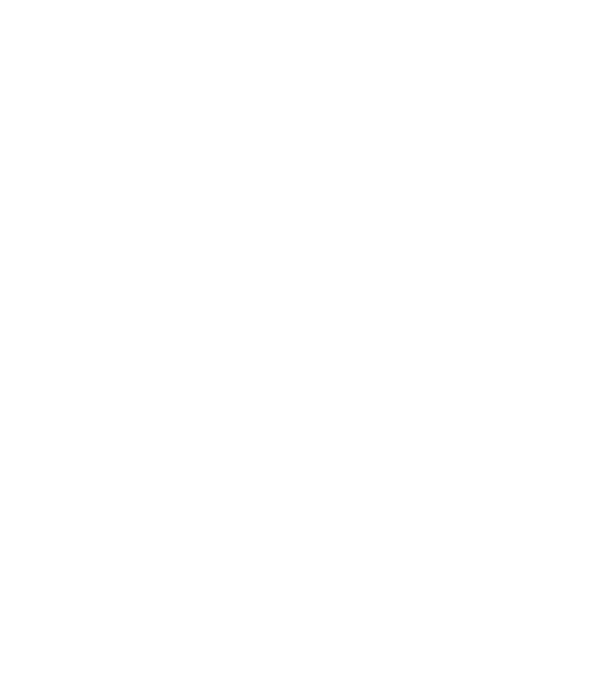 Diplôme visé par l'État