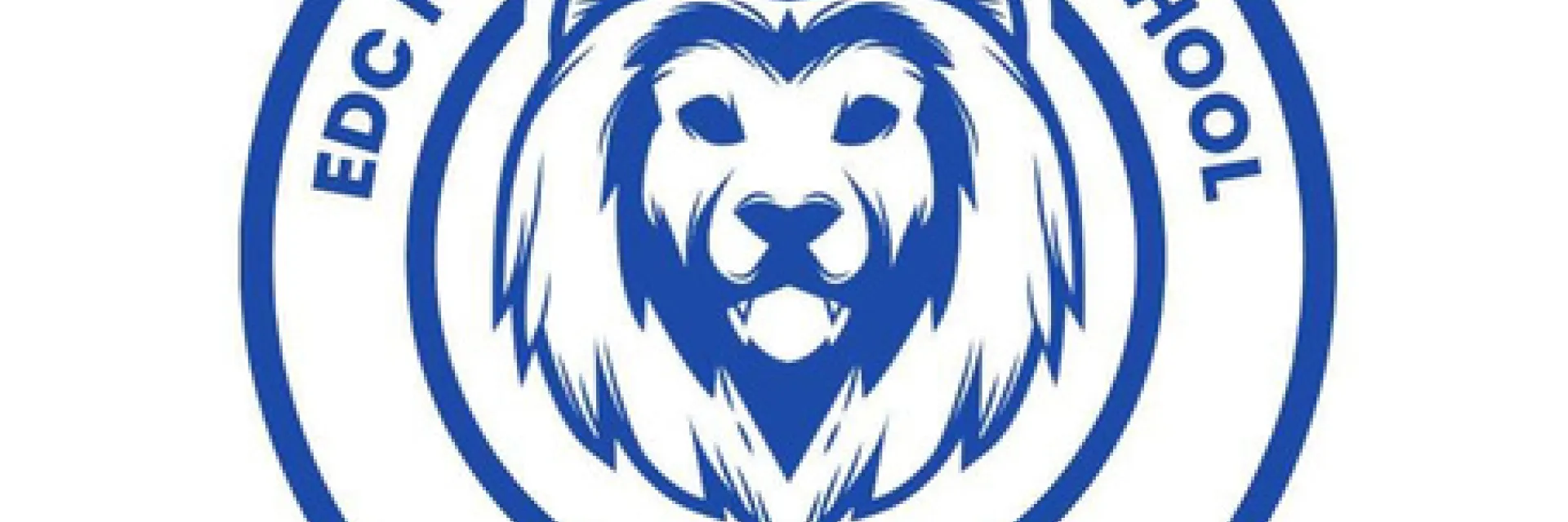 BDS LOGO