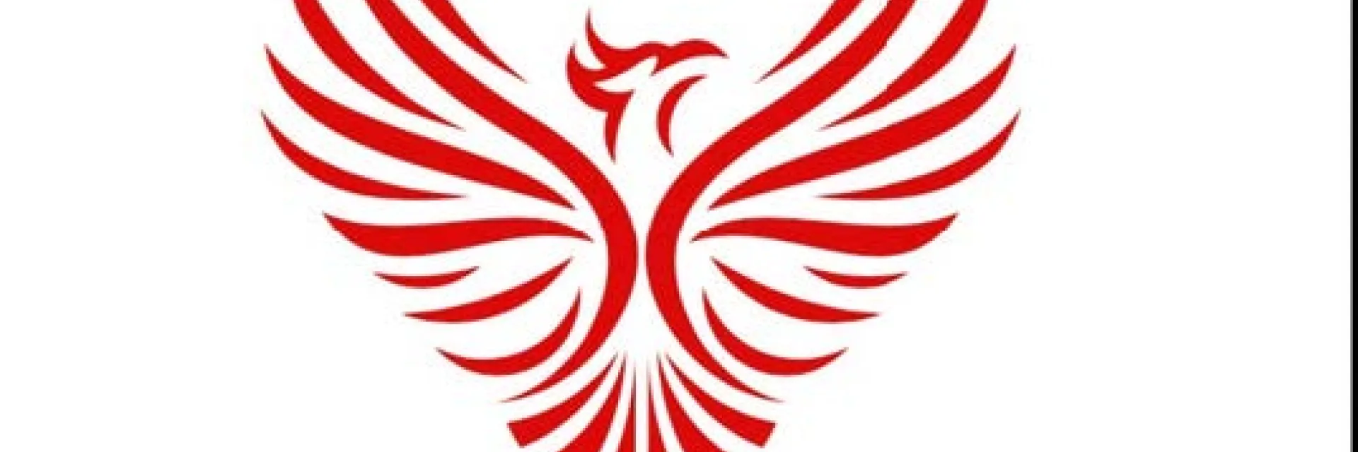 bda logo