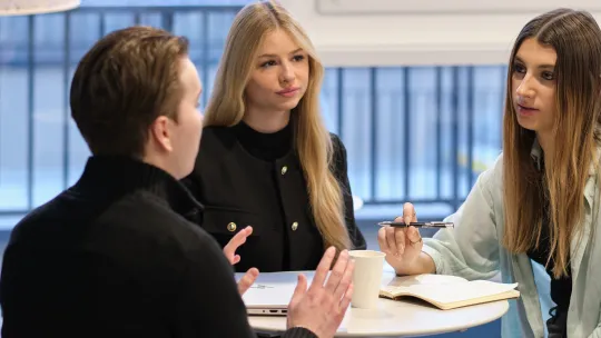 bachelor international business development