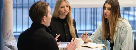 bachelor international business development