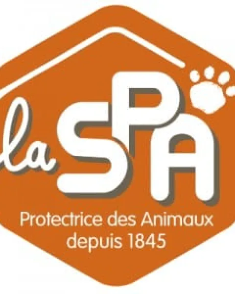 Cas SPA Societe Protectrice des Animaux SPA a la conquete des jeunes donateurs letude quantitative 