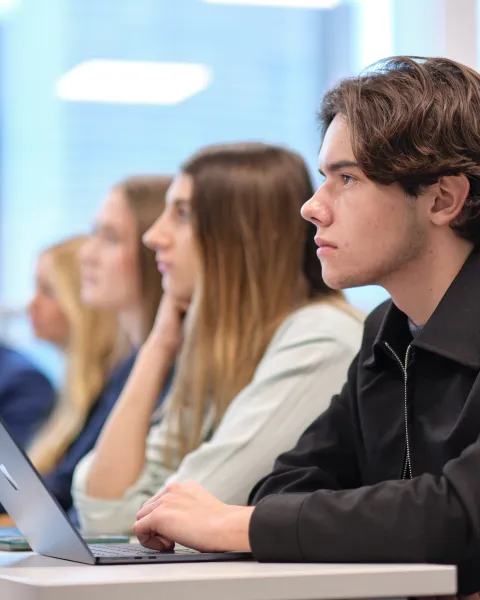 travail collaboratif