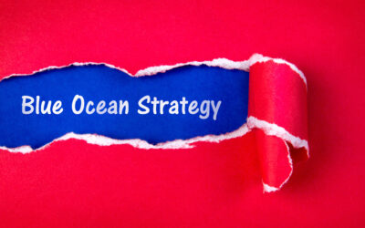 How to make a blue ocean strategy profitable?